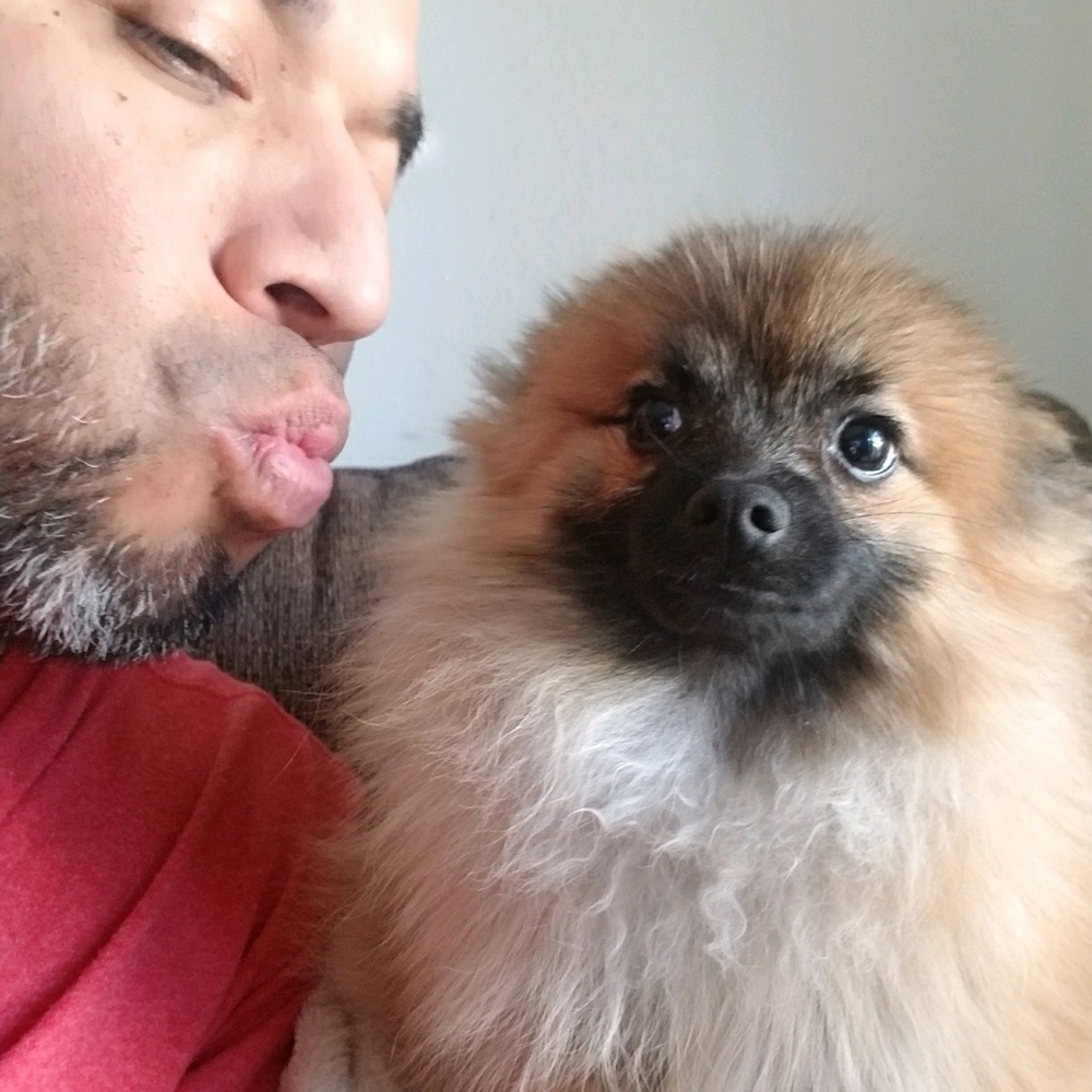 Meet your Posher, James